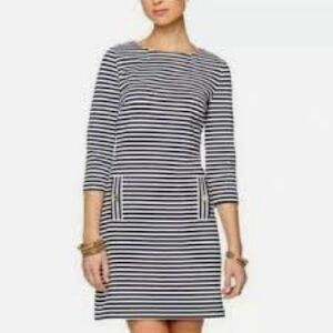 White House Black Market Black and Gray Striped Dress